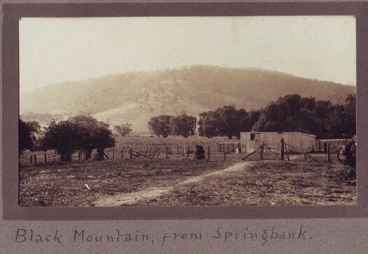 View from Springbank over its farmyard to Black Mountain