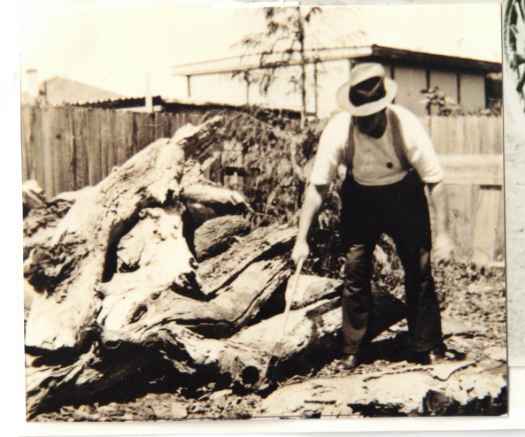 Tom with axe and pile of logs.