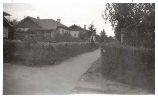 Well established cottages with hedges cut to regulation height.