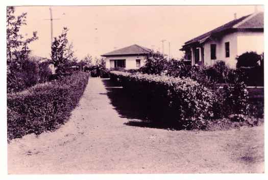 Two cottages with regulation height hedges.
