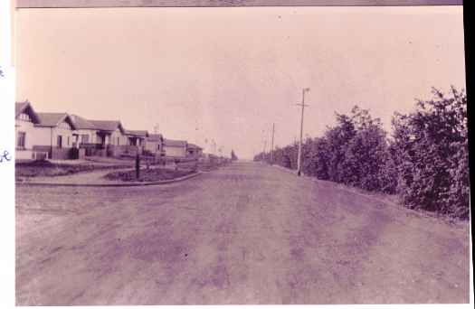 Houses on the right and trees on the left.
