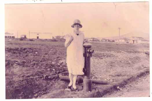 Rear of JB Young at top left and Power House top right. The land behind Agnes became Green Square. Note the original fire hydrant - some remain in the heritage housing areas. Early brick cottages also visible at rear.