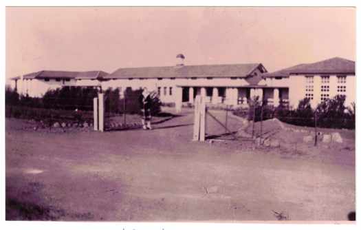 Looking to front of the school off New South Wales Crescent, Barton.